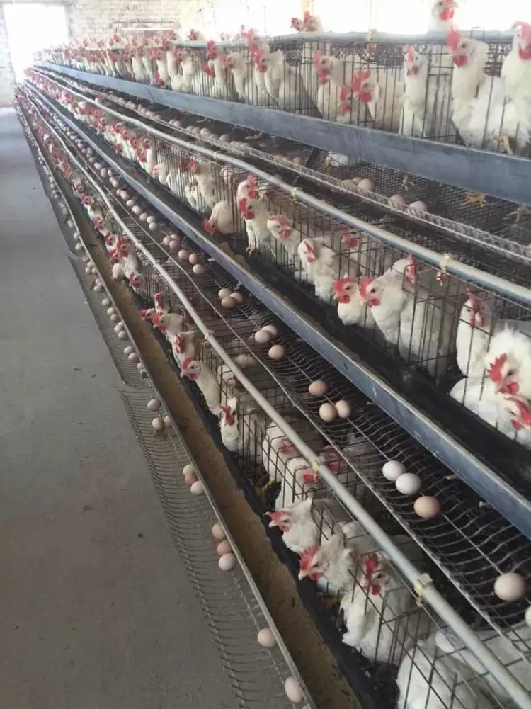 k8凯发(中国)天生赢家·一触即发司