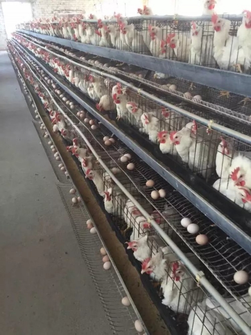 k8凯发(中国)天生赢家·一触即发司