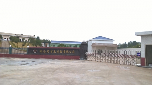 k8凯发(中国)天生赢家·一触即发司