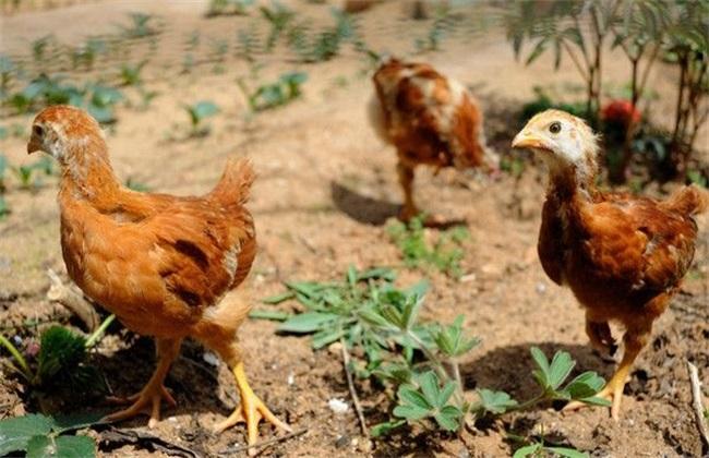 k8凯发(中国)天生赢家·一触即发司