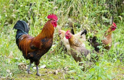 k8凯发(中国)天生赢家·一触即发司