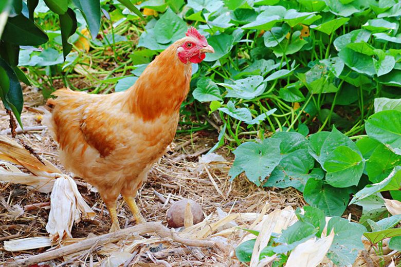 k8凯发(中国)天生赢家·一触即发司