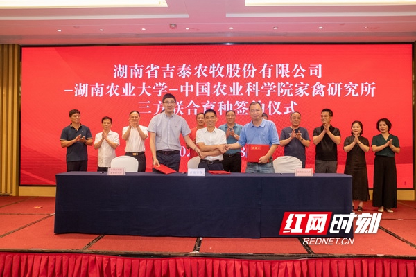 湖南省k8凯发一触即发农牧股份有限公司