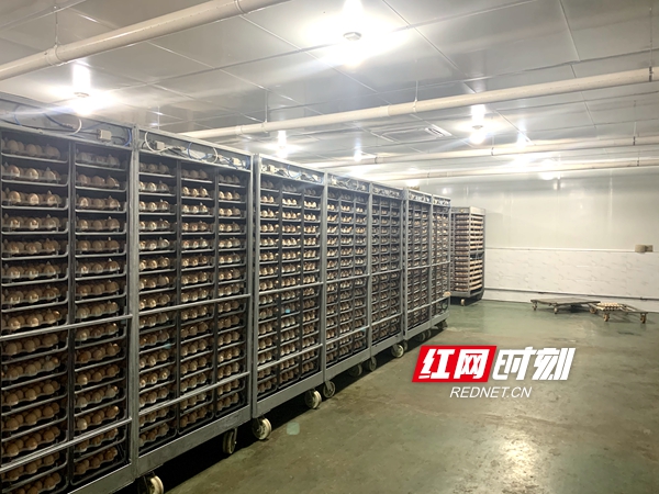 湖南省k8凯发一触即发农牧股份有限公司